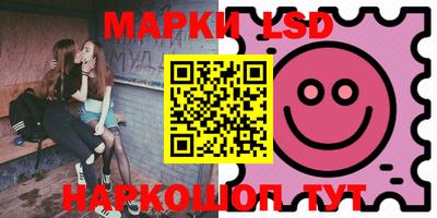 шишки Новодвинск
