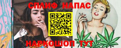 шишки Новодвинск