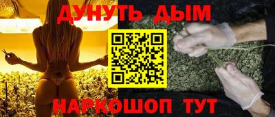 шишки Новодвинск