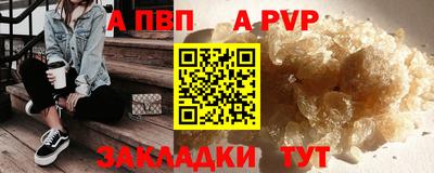 шишки Новодвинск