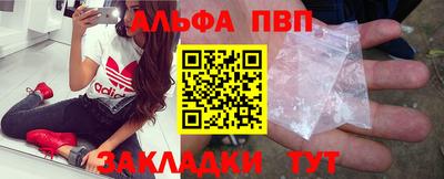 шишки Новодвинск