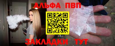 шишки Новодвинск