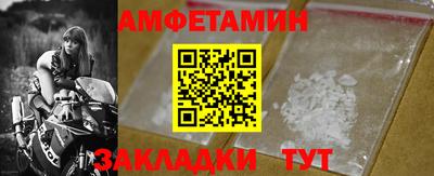 шишки Новодвинск