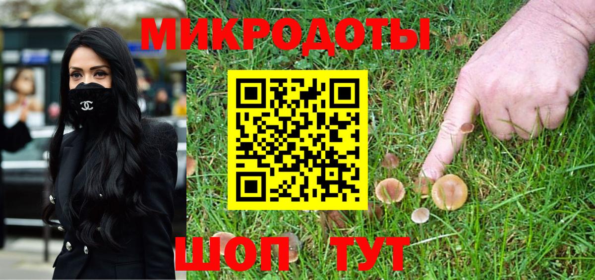 Тверь  Галлюциногенные грибы Psilocybe  Вход с VPN 